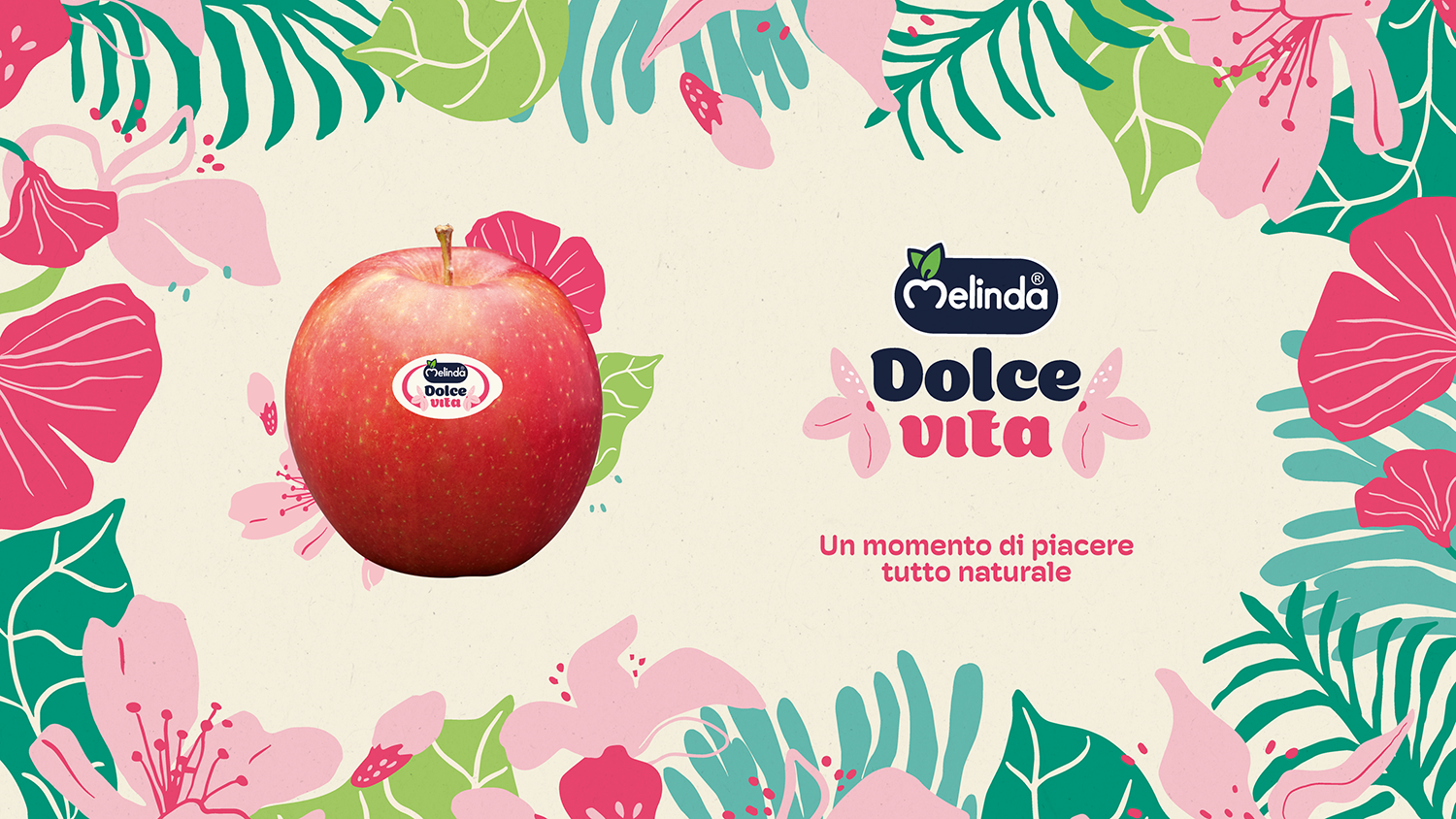 DOLCEVITA_CASE WIX_1 cover