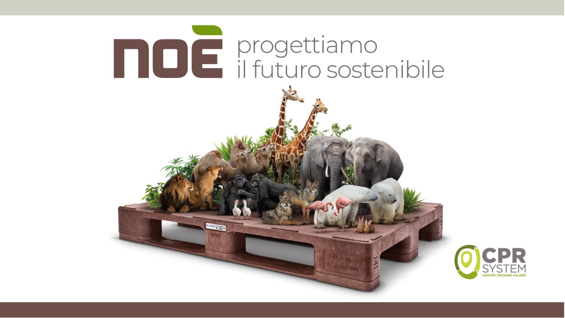 Flusso Case Noè-03