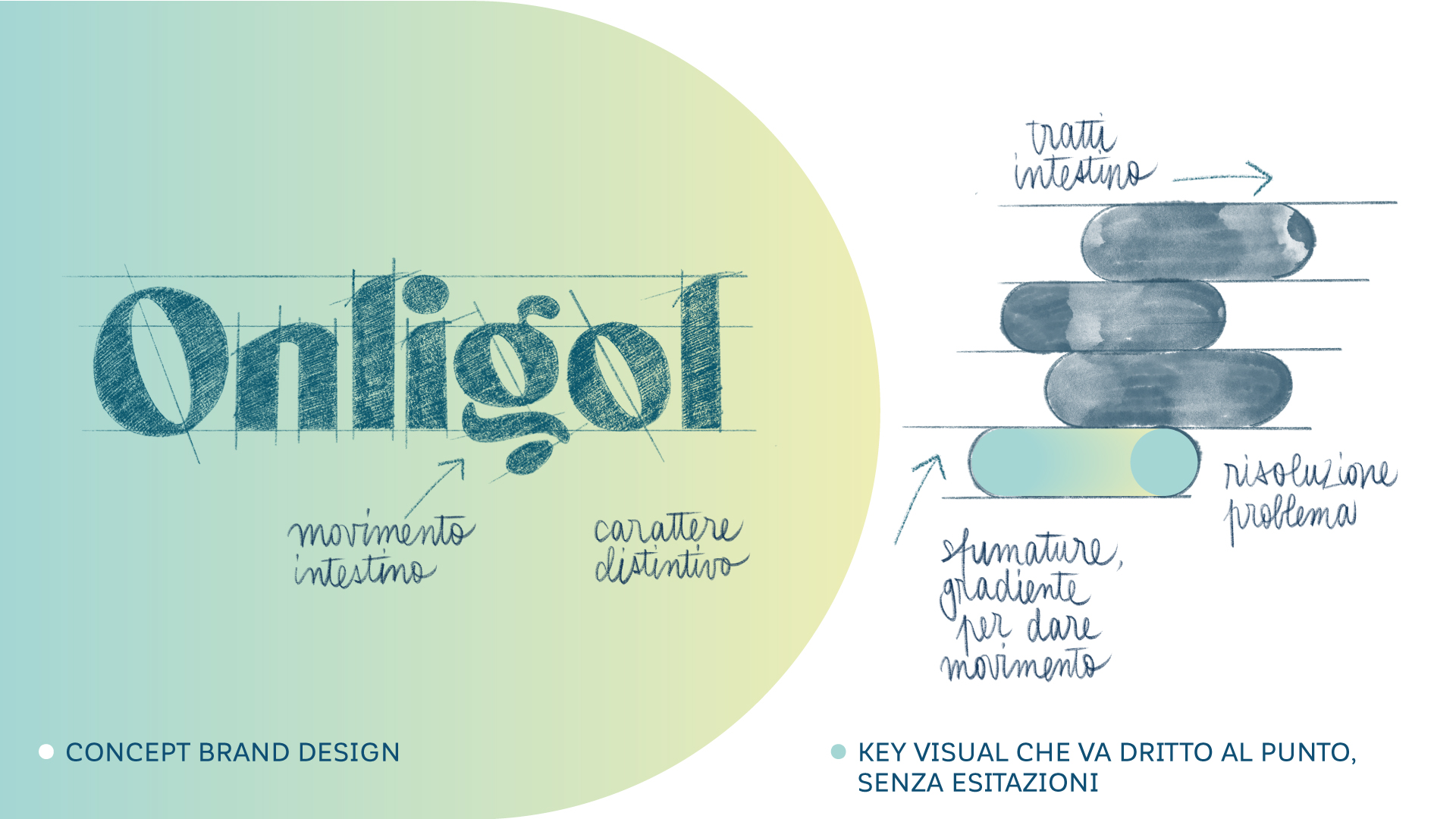 ONLIGOL_CASE_DEF-01