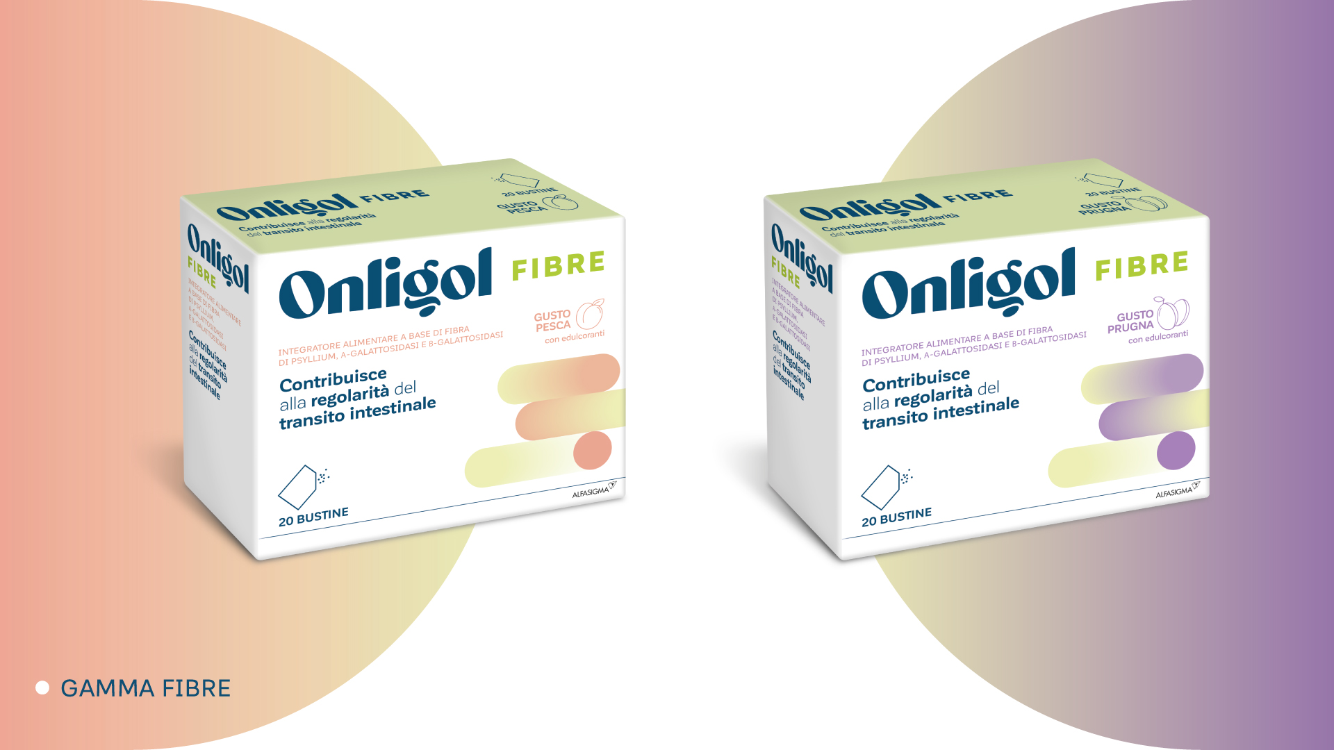ONLIGOL_CASE_DEF-05